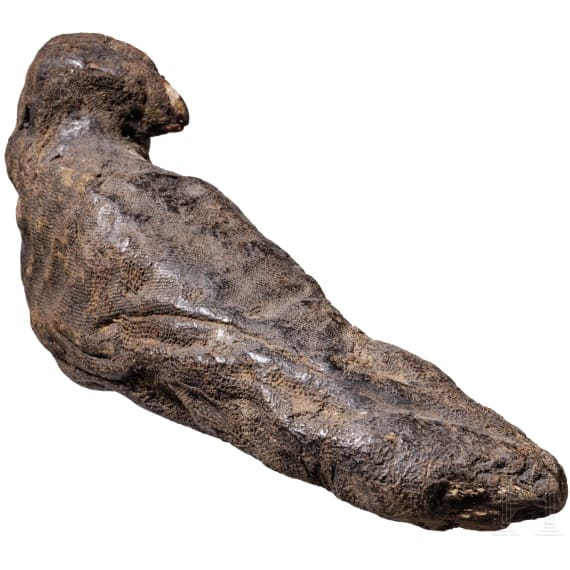 An ancient Egyptian falcon mummy, Late Period, mid-1st century B.C.