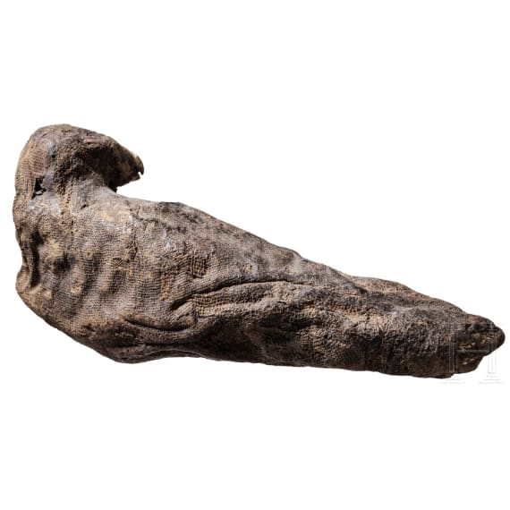 An ancient Egyptian falcon mummy, Late Period, mid-1st century B.C.