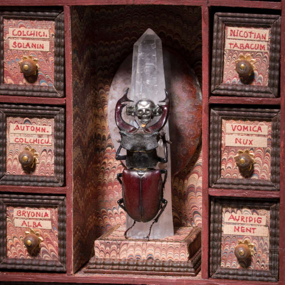 A book-shaped poison cabinet with stag beetle, German, ca. 1900