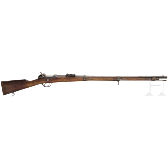 A Werdergewehr M1869, OEWG