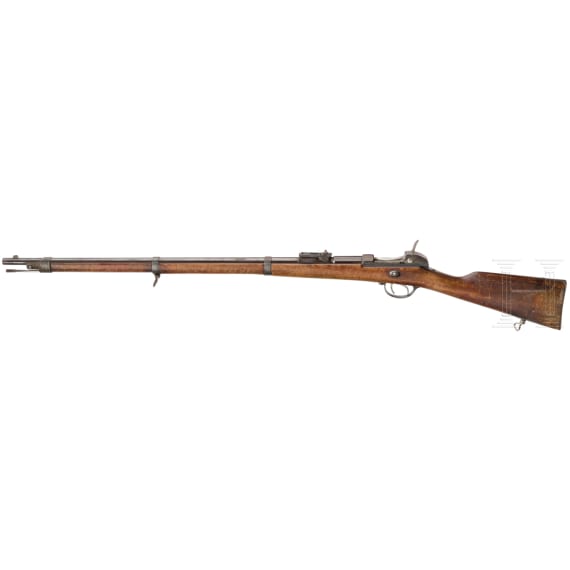 A Werdergewehr M1869, OEWG