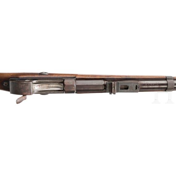 A Werdergewehr M1869, OEWG
