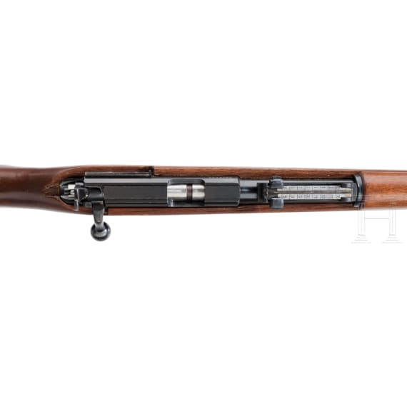 Wehrsportgewehr Norinco, Mod. JW-25 A