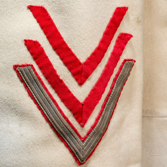 Koller f&uuml;r Mannschaften im K&uuml;rassier-Regiment "von Driesen" (Westf&auml;lisches) Nr. 4, datiert 1906 - 1908
