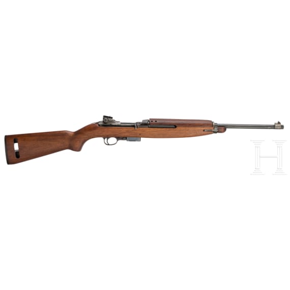 SL-Carbine 30 M 1