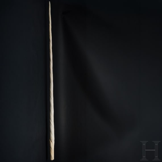 A narwhal tusk (monodon monoceros)