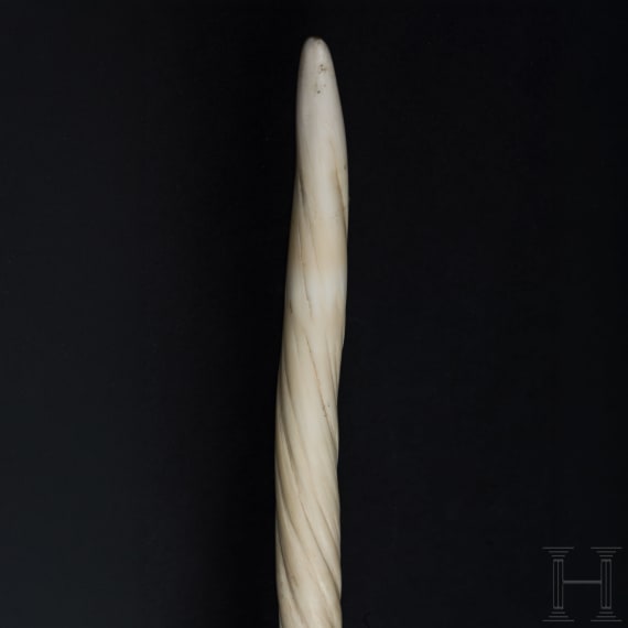 A narwhal tusk (monodon monoceros)