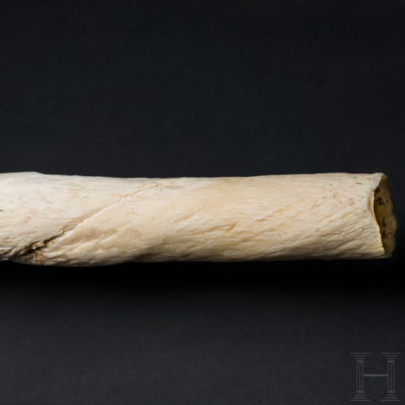 A narwhal tusk (monodon monoceros)