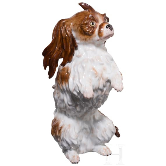 A large Bolognese dog, Johann Joachim Kaendler, circa 1760 (design), Meissen, 1860-1924 (finish)