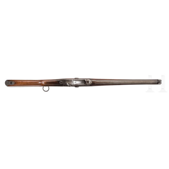 Karabiner Werder M/69, Francotte, 1869