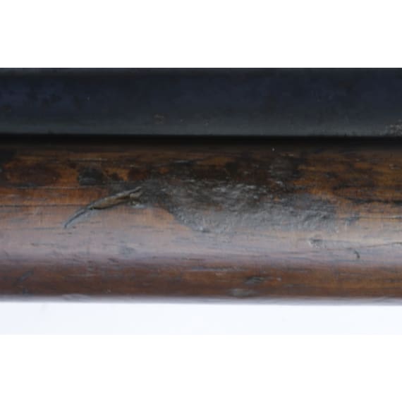 Werndl Infanterie- und J&auml;gergewehr M 1873, OEWG, 1876