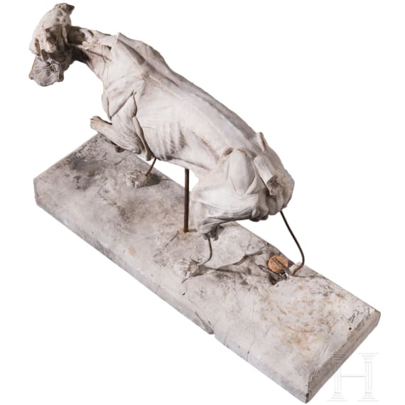 Anatomisches Hundemodell (Muskelhund), Willy Z&uuml;gel (M&uuml;nchen 1876 &ndash; 1950 Wolkenhof/Murrhardt), fr&uuml;hes 20. Jhdt.