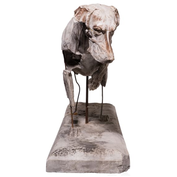 Anatomisches Hundemodell (Muskelhund), Willy Z&uuml;gel (M&uuml;nchen 1876 &ndash; 1950 Wolkenhof/Murrhardt), fr&uuml;hes 20. Jhdt.
