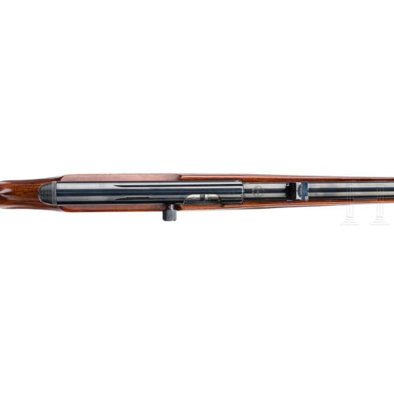 Semi-auto rifle, Krico