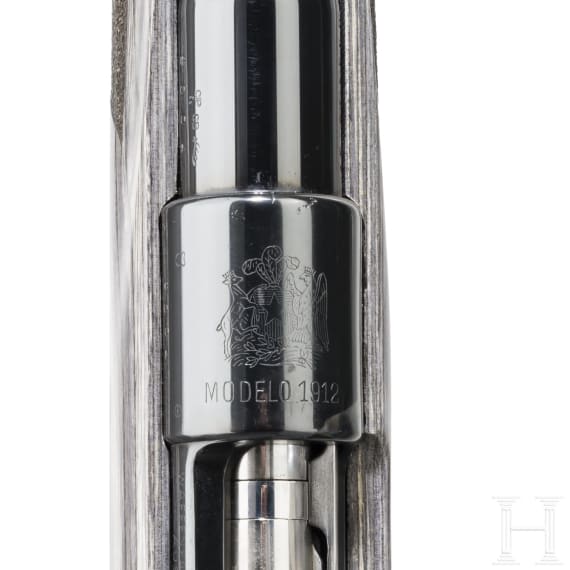 Steyr Mod. 98 Customized