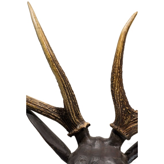 A German carved deer head trophy, 2nd half of the 17th century