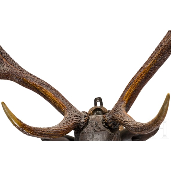 A German carved wooden deer trophy, 18th century