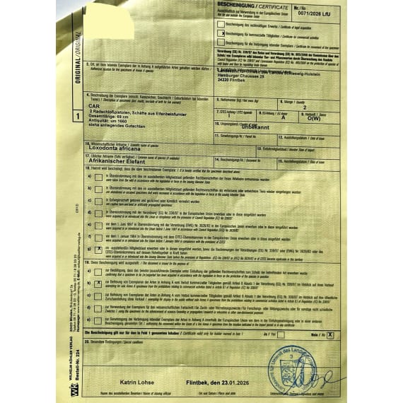 Ein Paar langer Radschlosspistolen, deutsch, um 1660, die gravierte Elfenbeinsch&auml;ftung aus dem 19. Jhdt.