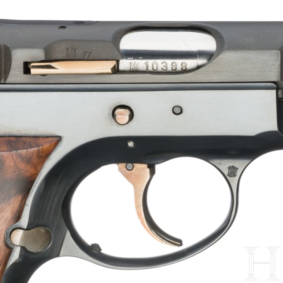 A CZ Mod. 75 with target sights