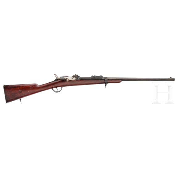 An Albini-Braendlin Mod. 1867 carbine