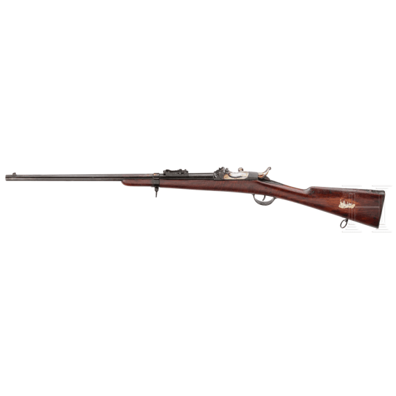 An Albini-Braendlin Mod. 1867 carbine
