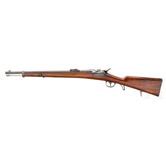 OEWG Extra-Korps-Gewehr M 1873/77