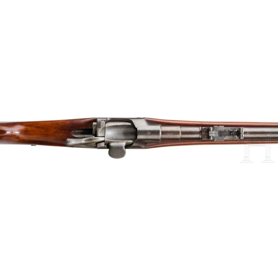 OEWG Extra-Korps-Gewehr M 1873/77