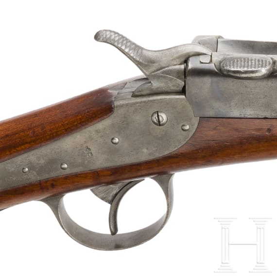OEWG Extra-Korps-Gewehr M 1873/77