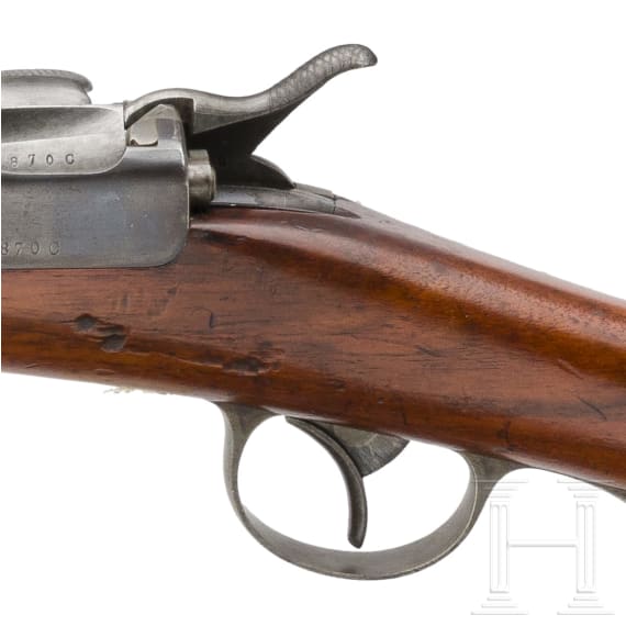 OEWG Extra-Korps-Gewehr M 1873/77