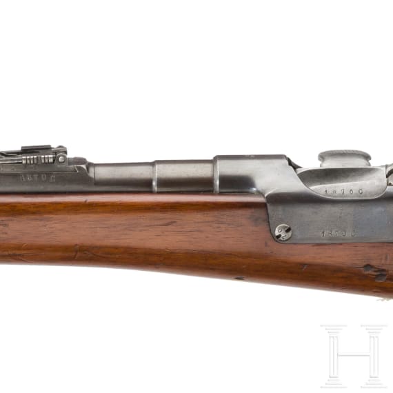 OEWG Extra-Korps-Gewehr M 1873/77