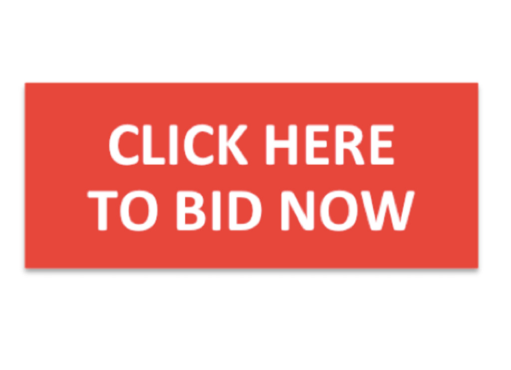 Click here to bid now.jpg