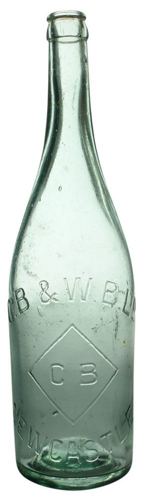 Beer. CB & WB Ltd. Newcastle. Aqua. 26 oz.