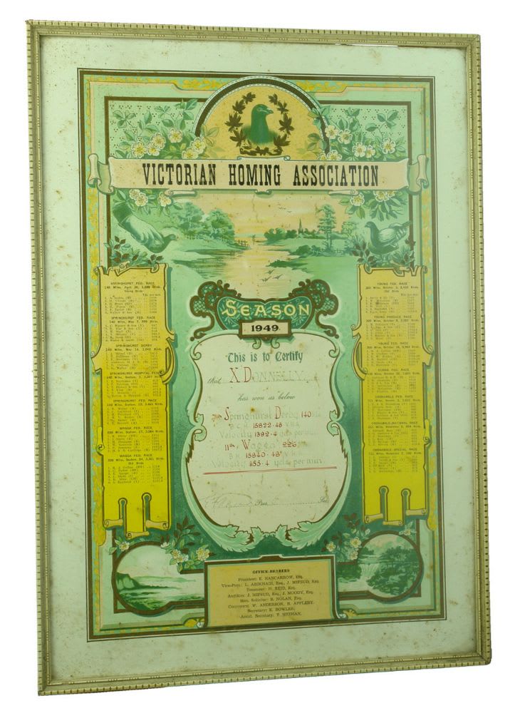 Miscellaneous. Certificate. Victorian Homing Association. Springhurst Derby 1949.