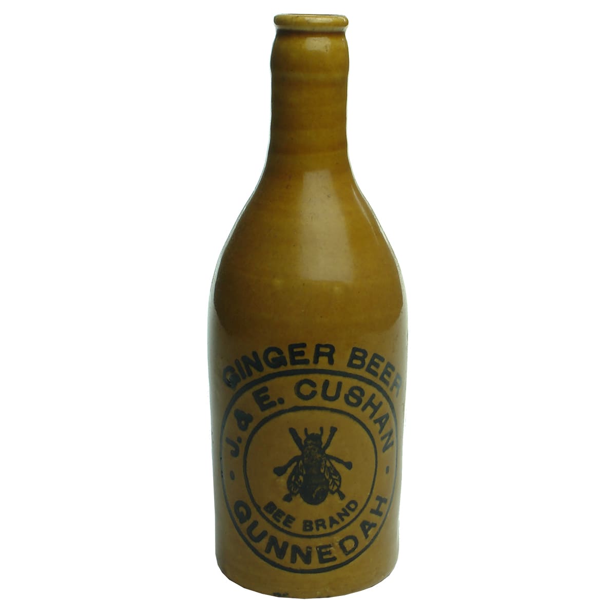 Ginger Beer. Cushan, Gunnedah. Champagne. Crown Seal. All Tan.