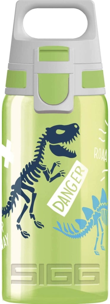 Drinking bottle, dinosaur
