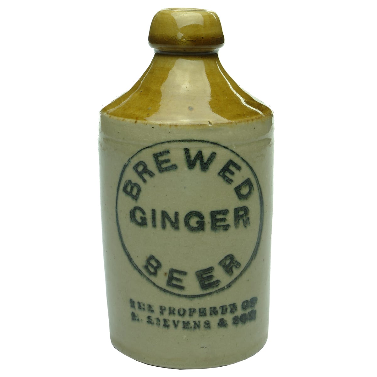 Ginger Beer. E. Stevens & Son. Dump. Tan Top. (South Australia?)