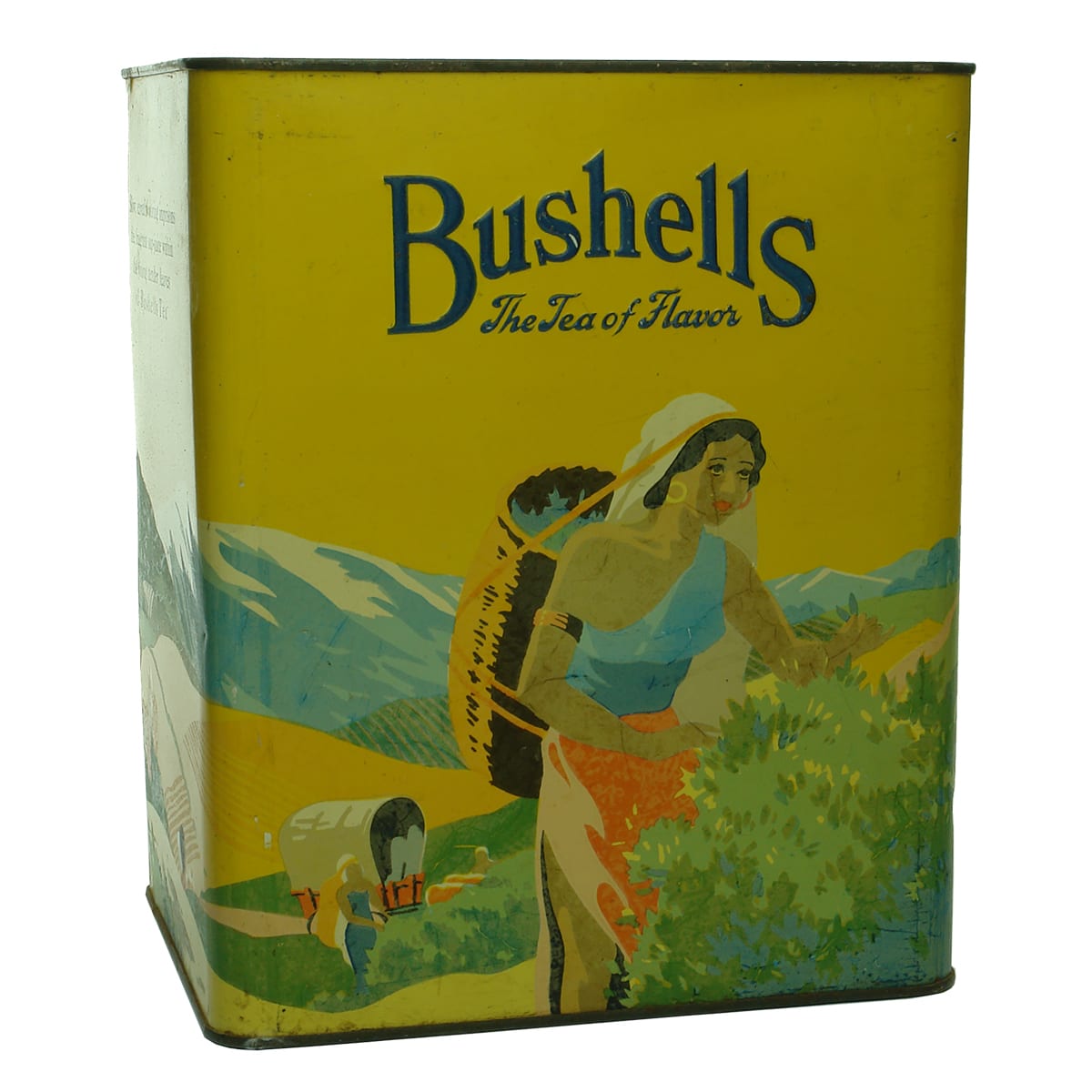 Tin. Bushells Tea. Large.