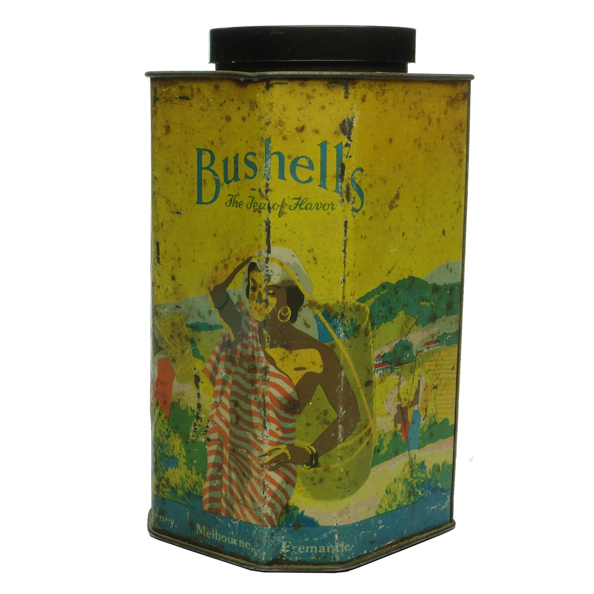 Tin. Bushells Tea. 1 Pound.