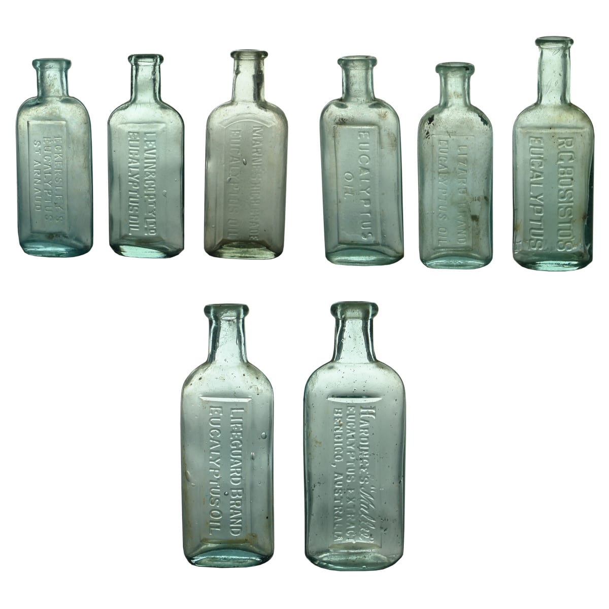 Eight eucalyptus bottles: Eckersley's, St Arnaud; Levin & Co Pty Ltd; Marne's High Grade; Eucalyptus Oil; Lizard Brand; R. G. Bosisto; Lifeguard Brand and Hardinge's "Mallee" Eucalyptus, Bendigo.