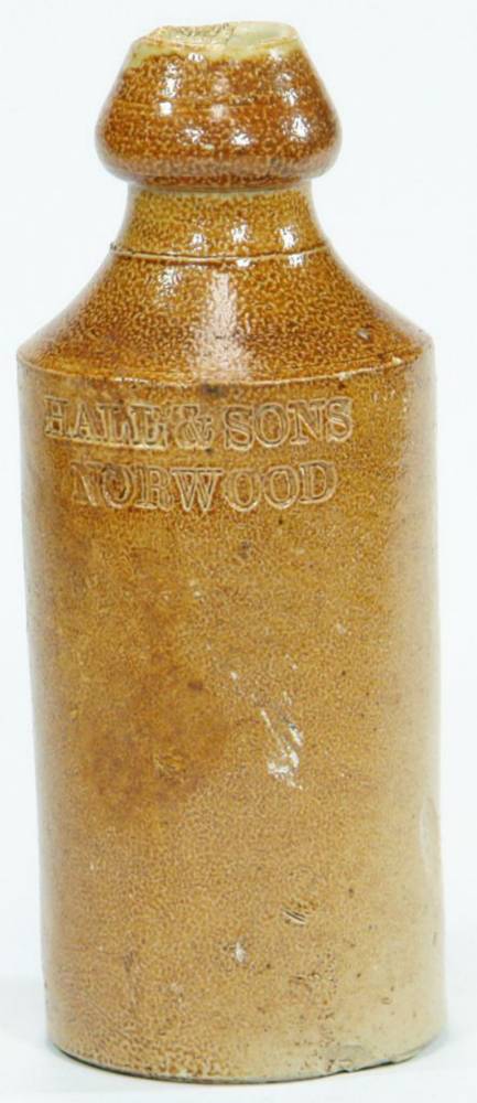 Hall Sons Norwood Impressed Ginger Beer Bottle