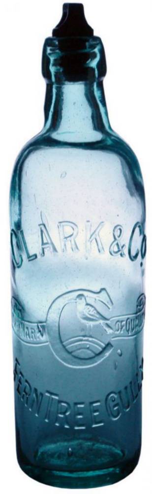 Clark Ferntree Gully Internal Thread Bottle
