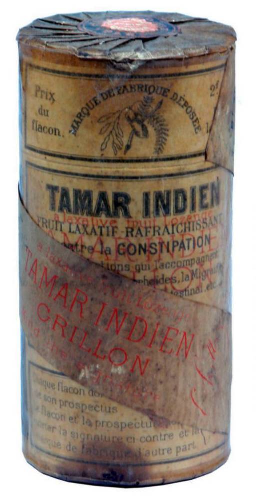 Tamar Indien Grillon Paris Gallien Chemist Dunedin