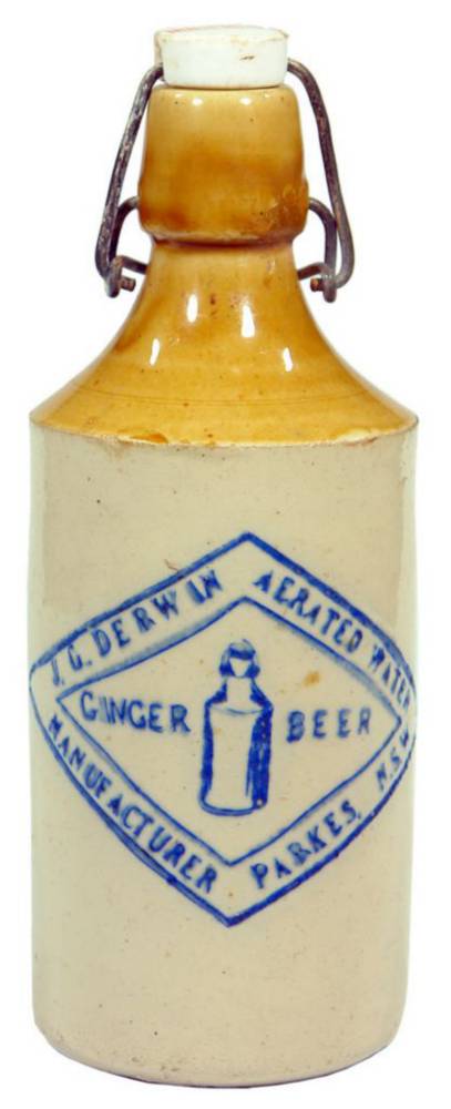 Derwin Parkes Lightning Stopper Ginger Beer Bottle