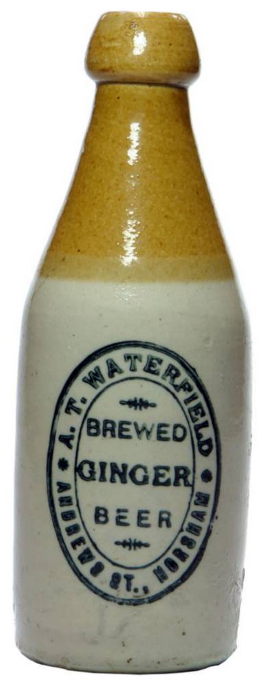 Waterfield Horsham Brewed Ginger Beer Bottle
