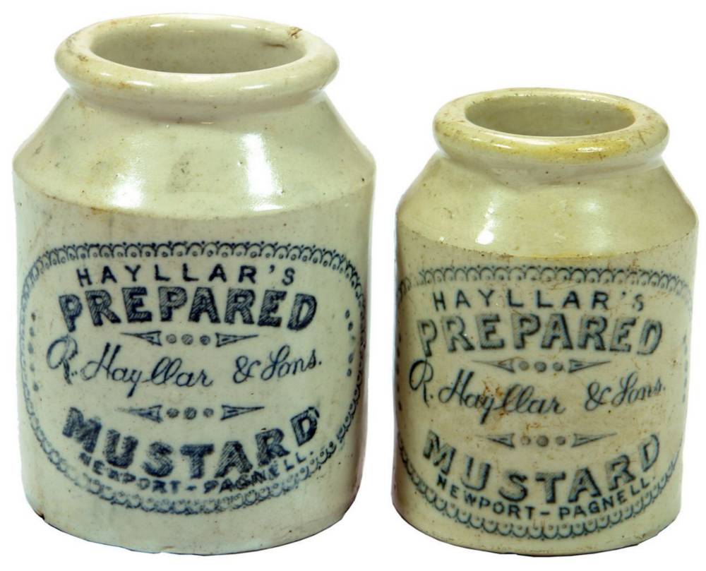 Hayllar Newport Mustard Stoneware Old Jars