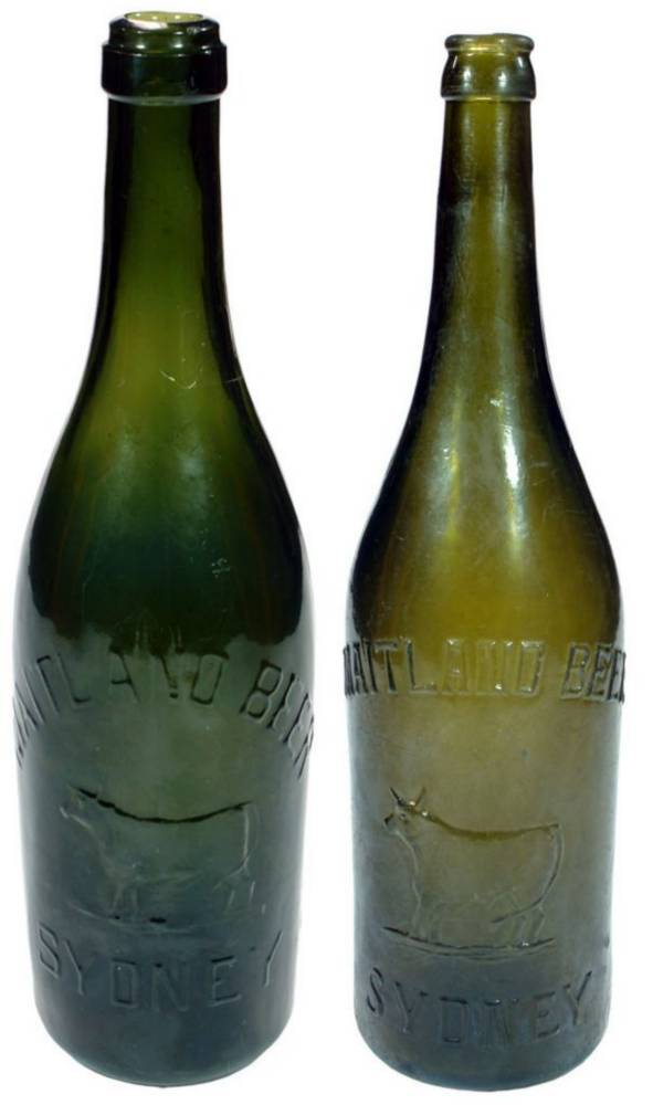 Maitland Beer Sydney Green Glass Beer Bottles