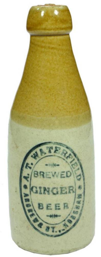 Waterfield Brewed Ginger Beer Horsham Bottle