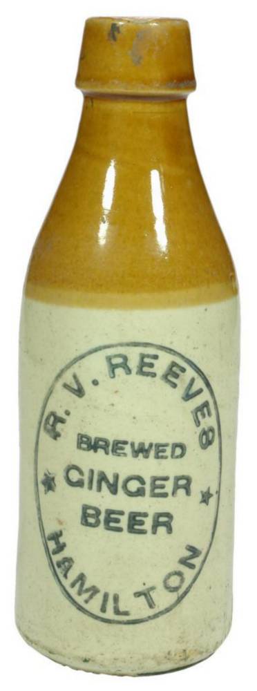 Reeves Brewed GInger Beer Hamilton Bottle