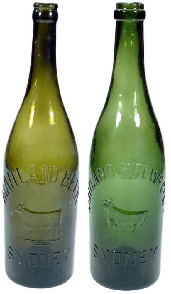 Maitland Sydney Old Beer Bottles