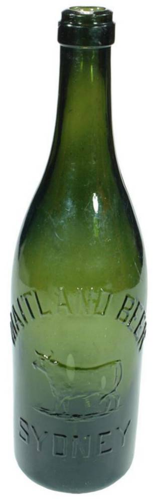 Maitland Beer Bull Sydney Beer Bottle